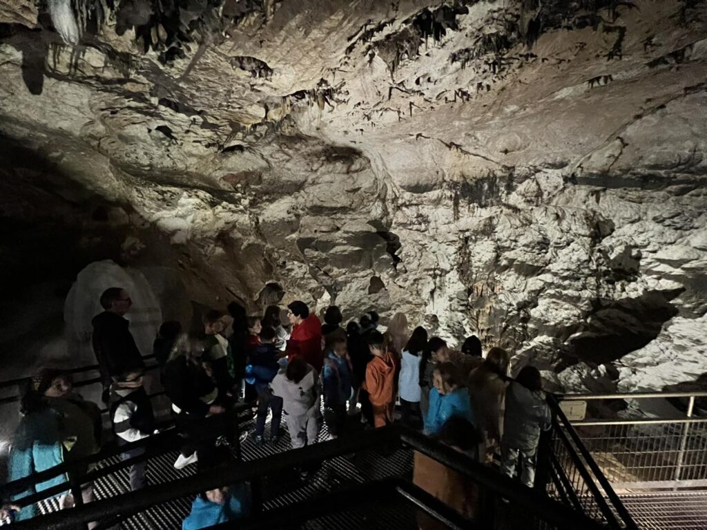 excursion niños primaria colegio tiñosa